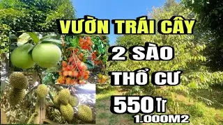 Chính chủ bán gấp, vườn đủ loại trái cây, thổ cư, Huyện cẩm Mỹ cũ, Đồng Nai