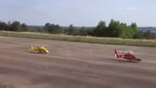 2 Rc scale Vario helis Dauphin / Dolphin