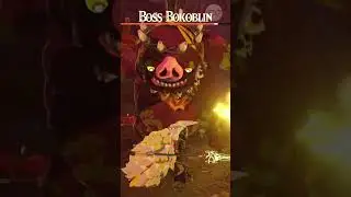 Hyrule Warriors Age of Imprisonment  Boss Fight Bokoblin #nintendoswitch2  #hyrulewarriors #zelda