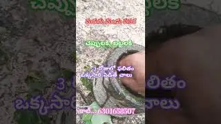 //marugu mandu pasaru//marugu mandu Telugu//how to make marugu mandu//