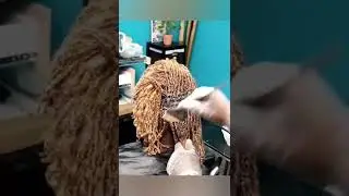 I'm obsessed with this sisterlocks color transformation🔥🔥#shorts