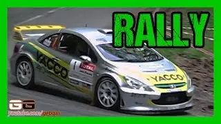 Peugeot 307 WRC - Nicolas VOUILLOZ - RALLY - 2006 - France Alsace-Vosges + Nicolas KLINGER