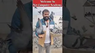Live Computer Class Vlog #learncomputer #jharkhandmandir #pigeonfeeding #ytshorts #shorts