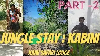 LUXURY Stay With Tiger in the Jungle : KAAV Safari Lodge : KABINI |  Tamil Vlog | Part 2 | Travel