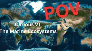 POV: The Marine Ecosystems