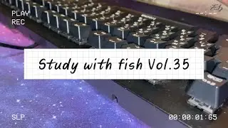 70mins 跟我一起專心│STUDY WITH ME Vol.35│Typing & firecracksound ver.│No Break, real time.│  @LYFish25