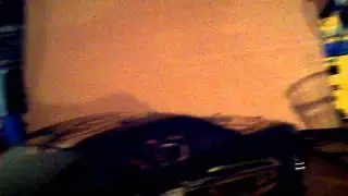 Wicked R/C Customs Programmable Lights Demo