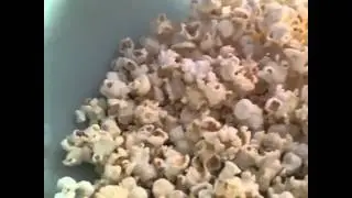 Cute kitten eats popcorn