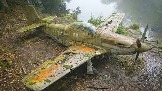 Abandoned WWII P-51 Mustang Found in the Forest &mdash; Full Restoration & First Flight