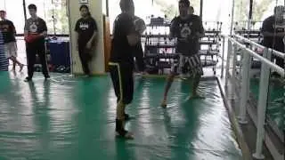 BOXECHINES - KUNG FU - LUIS A 