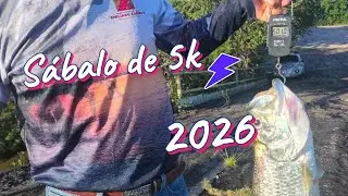 Como subimos un sábalo de 4m de altura 