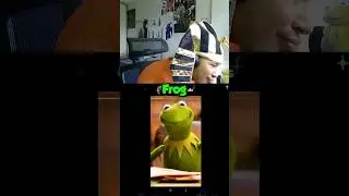 Bro di Kermit the Frog BETTER 🤯