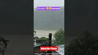 #flood #assam #guwahati 🥺 #viralvideo #viralnow #viralshort #foryou #trending #trendingassam