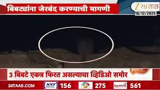 Pune Leopard | करडे MIDC परिसरात बिबट्यांची दहशत; 3 बिबटे एकत्र फिरत असल्याचा व्हिडिओ समोर