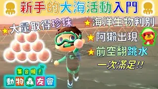 集合啦！動物森友會 | 【秘辛攻略】新手必看的大海活動入門，游泳潛水方法解說、海洋生物判別解析、讓阿獺出現及大量取得珍珠方法！