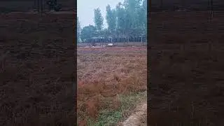 4000,Bird Capacity Farm Construction  Part 6.#viralreel ,@TheTechnicalFarmer