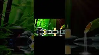 Healing Sleep Meditation Spa Music for Insomnia and Anxiety Reduction