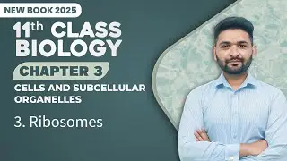 11th Class Biology Chapter 3 | Ribosomes | Class 11th New Book 2025