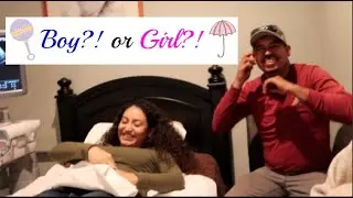 🍼Is it a Boy or a Girl?  3D Ultrasound Gender Reveal (*SPANGLISH)