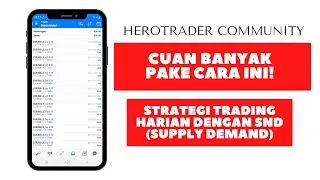 Strategi Trading Forex Harian dengan SND | Cara Menetukan Supply  Demand Otomatis | IBF Trader Jogja