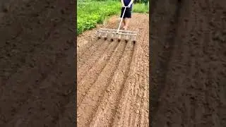 Gardening simple farming tools #short #gardening #harvest #berkebun #shorts