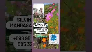 Horoscopo 18/12 Silvina Mandagaran +598 95 322 655 🇺🇾095 322 655 sensacionesuy.com