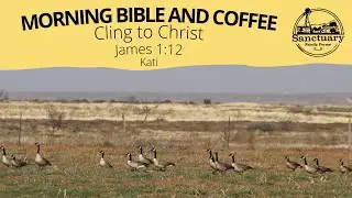 Cling to Christ (James 1:12) &ndash; Kati