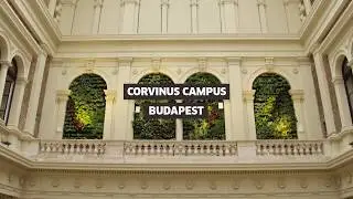 Brain Bar 2018 at Corvinus Campus Budapest