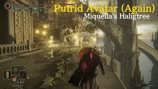 Putrid Avatar (Again) vs. Rivers of Blood | Miquella's Haligtree (Bridge) - Elden Ring