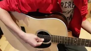 Martin DCPA4 Rosewood