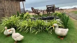 Best weekend getaway | Trip to Mangalore | Camp 21