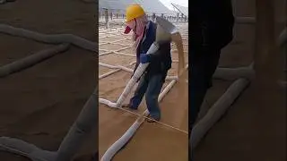 Cara China Ubah Gurun Jadi Hutan