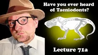 Lecture 71a Have you ever heard of Taeniodonts?