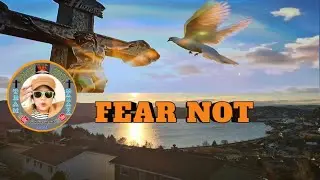 Bible Live  /  Fear / Fear Not Say The Lord  #gospel