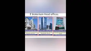 दिन में दो बार Income देने वाला Business plan with Repurchase Income.  part -I
