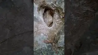 Give away deposit inside the big stone 😲. Please subscribe!!!