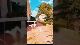 Iflight defender25 #dji #cinewhoop #iflight #djifpv #fpv #fpvaddiction