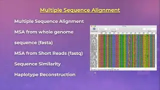 Session 3 Precision Medicine Review: Multiple Sequence Alignment And Phylogenetic Analysis