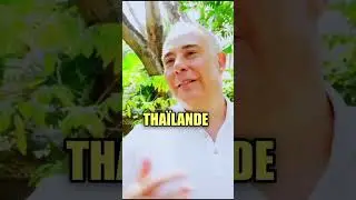 61 ans, la France lui sort par les yeux 😳🇹🇭