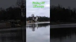 Рыбалка на Платнике Микожин. Красивая Природа. 12.04.2025. #4k #video #fishing #carpfishing #хобби