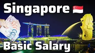 Singapore Fresher Basic Salary | Singapore Visa Cost | Singapore Dollar | Singapore Jobs Salary