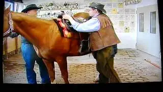 Westerntraining in R&uuml;tteldorf mit Ulli.AVI