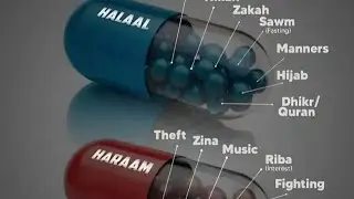 Halal Aur Haram: Har Muslim Ke Liye Zaroori Malumat!