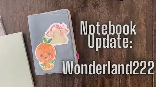 Wonderland222 Notebook Update // 2022 and 2023 Version Comparisons