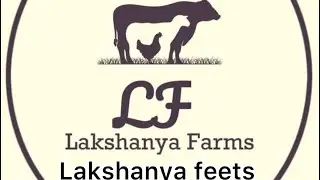Low cost goat feed | concentrate feed | goat farming அடர்தீவன முறைகள் #அடர்தீவனம் தயாரிப்பு 