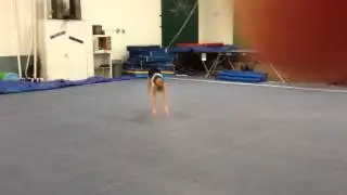 Anna's 4 back handsprings at the gym