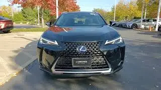 2021 Lexus UX 250h  Schaumburg IL Q3451