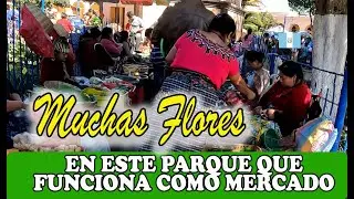 SAN JUAN SACATEPEQUEZ, GUATEMALA, UN MUNICIPIO CON MUCHO COMERCIO Y FLORICULTURA