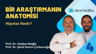 Bir araştırmanın anatomisi - 4: Hipotez nedir?