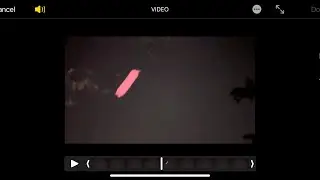 30+ Jan 2025 Can you find anything interesting? it did can you ? Includes Never before seen Red Orbs